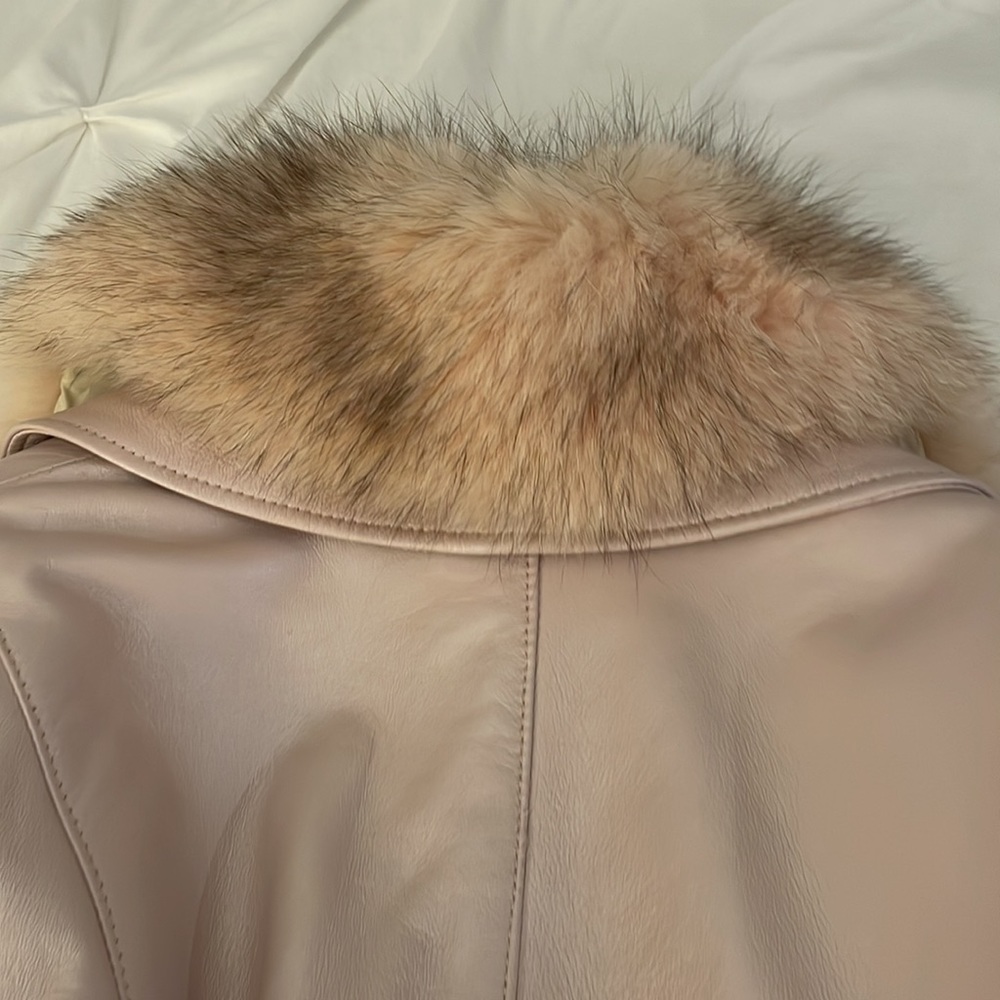 Detachable collar - Picture 6 of 6